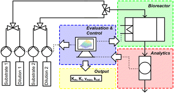 Graphical abstract: Closed-loop identification of enzyme kinetics applying model-based design of experiments