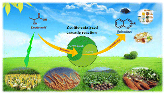Graphical abstract: Catalytic cascade gas-phase heterocyclization of lactic acid and aniline into quinolones over mesoporous Hβ zeolite