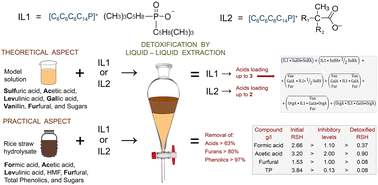 Graphical abstract: Extraction by ionic liquids for the case of detoxification of lignocellulosic hydrolysates