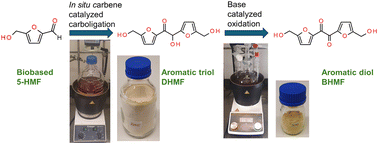 Graphical abstract: C12 aromatic triol-furoin and diol-furil from bio-based 5-(hydroxymethyl)furfural: enhanced selective synthesis, scale-up and mechanistic insight into cyclic catalysis