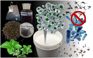 Graphical abstract: Green synthesis of insecticidal, bactericidal, UV absorbent, sustainable paint formulations using Mentha piperita (peppermint)