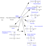 Graphical abstract: Chemical mechanism prediction unravels multiple macromolecular outcomes from free-radical reactions