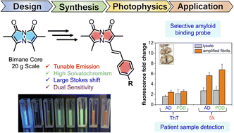 Graphical abstract: Highly tunable bimane-based fluorescent probes: design, synthesis, and application as a selective amyloid binding dye