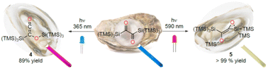 Graphical abstract: Wavelength-dependent rearrangements of an α-dione chromophore: a chemical pearl in a bis(hypersilyl) oyster