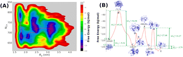 Graphical abstract: Can local heating and molecular crowders disintegrate amyloid aggregates?