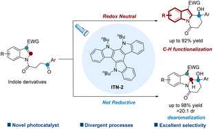 Graphical abstract: Tunable C–H functionalization and dearomatization enabled by an organic photocatalyst