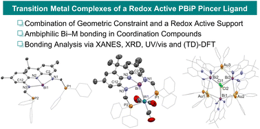 Graphical abstract: Combining geometric constraint and redox non-innocence within an ambiphilic PBiP pincer ligand