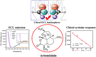 Graphical abstract: Artemisinin: a novel chiral electrochemiluminescence luminophore-assisted enantiospecific recognition and mechanism identification