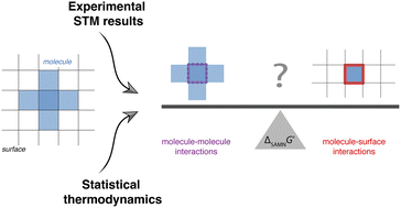 Graphical abstract: On the origin of cooperativity effects in the formation of self-assembled molecular networks at the liquid/solid interface