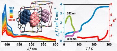 Graphical abstract: Bidirectional photomagnetism, exciplex fluorescence and dielectric anomalies in a spin crossover Hofmann-type coordination polymer