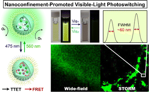 Graphical abstract: Amplifying dual-visible-light photoswitching in aqueous media via confinement promoted triplet–triplet energy transfer