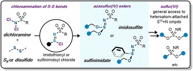 Graphical abstract: Azasulfur(iv) derivatives of sulfite and sulfinate esters by formal S–S bond insertion of dichloramines