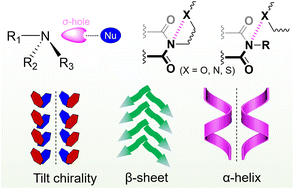 Graphical abstract: Pnictogen bonding in imide derivatives for chiral folding and self-assembly