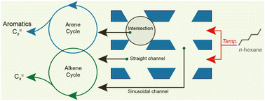 Graphical abstract: Selectivity descriptors of the catalytic n-hexane cracking process over 10-membered ring zeolites