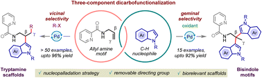 Graphical abstract: Three-component dicarbofunctionalization of allylamines via nucleopalladation pathway: unlocking vicinal and geminal selectivity