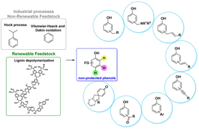 Graphical abstract: Csp2–H functionalization of phenols: an effective access route to valuable materials via Csp2–C bond formation