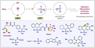 Graphical abstract: Expedient radical phosphonylations via ligand to metal charge transfer on bismuth
