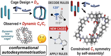 Graphical abstract: Programmable synthesis of organic cages with reduced symmetry