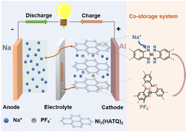 Graphical abstract: A tricycloquinazoline based 2D conjugated metal–organic framework for robust sodium-ion batteries with co-storage of both cations and anions