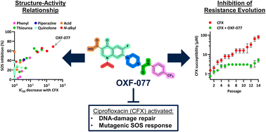 Graphical abstract: Development of an inhibitor of the mutagenic SOS response that suppresses the evolution of quinolone antibiotic resistance
