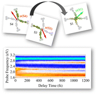 Graphical abstract: Transient-absorption spectroscopy of dendrimers via nonadiabatic excited-state dynamics simulations