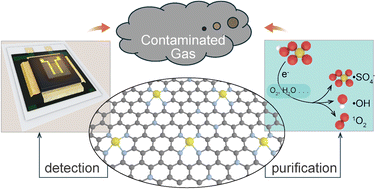 Graphical abstract: Emerging single-atom catalysts in the detection and purification of contaminated gases