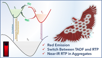 Graphical abstract: A nine-ring fused terrylene diimide exhibits switching between red TADF and near-IR room temperature phosphorescence