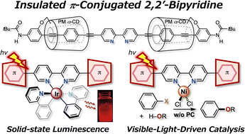 Graphical abstract: Insulated π-conjugated 2,2′-bipyridine transition-metal complexes: enhanced photoproperties in luminescence and catalysis