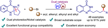 Graphical abstract: Aromatization-driven deconstructive functionalization of spiro dihydroquinazolinones via dual photoredox/nickel catalysis