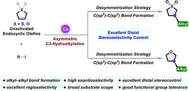 Graphical abstract: CoH-catalyzed asymmetric remote hydroalkylation of heterocyclic alkenes: a rapid approach to chiral five-membered S- and O-heterocycles