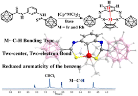 Graphical abstract: Formation and reactivity of a unique M⋯C–H interaction stabilized by carborane cages