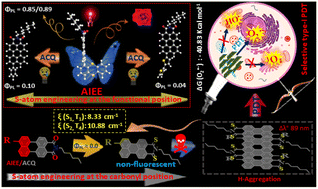 Graphical abstract: Sulphur-atom positional engineering in perylenimide: structure–property relationships and H-aggregation directed type-I photodynamic therapy