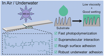 Graphical abstract: Wetting-enhanced adhesion of photo-polymerized supramolecular adhesives for both smooth and rough surfaces