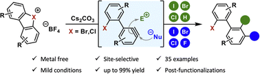 Graphical abstract: Easy access to polyhalogenated biaryls: regioselective (di)halogenation of hypervalent bromines and chlorines