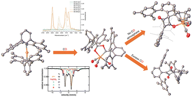 Graphical abstract: Mechanistic investigations of the Fe(ii) mediated synthesis of squaraines