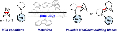 Graphical abstract: α-Amino bicycloalkylation through organophotoredox catalysis