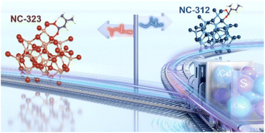 Graphical abstract: Carboxylic acid isomer-directed synthesis of CdS nanocluster isomers