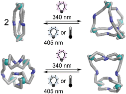Graphical abstract: Photoswitching of Co(ii)-based coordination cages containing azobenzene backbones
