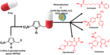 Graphical abstract: A novel bioresponsive self-immolative spacer based on aza-quinone methide reactivity for the controlled release of thiols, phenols, amines, sulfonamides or amides