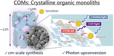 Graphical abstract: Crystalline organic monoliths with bicontinuous porosity
