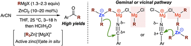 Graphical abstract: Zinc chloride-catalyzed Grignard addition reaction of aromatic nitriles