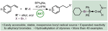 Graphical abstract: Hydroalkylation of styrenes enabled by boryl radical mediated halogen atom transfer