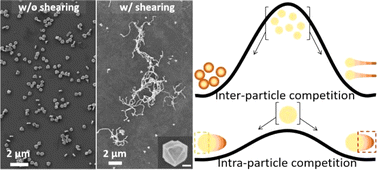 Graphical abstract: Shearing-induced formation of Au nanowires