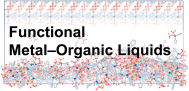 Graphical abstract: Functional metal–organic liquids