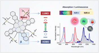 Graphical abstract: Synergistic meso-β regulation of porphyrins: squeezing the band gap into the near-infrared I/II region