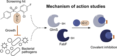 Graphical abstract: Isocyanides inhibit bacterial pathogens by covalent targeting of essential metabolic enzymes