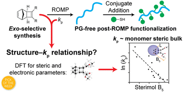 Graphical abstract: Tricyclononenes and tricyclononadienes as efficient monomers for controlled ROMP: understanding structure–propagation rate relationships and enabling facile post-polymerization modification