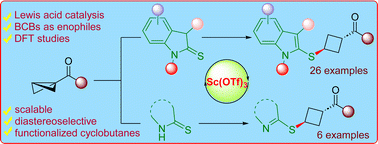 Graphical abstract: Lewis acid-catalyzed diastereoselective formal ene reaction of thioindolinones/thiolactams with bicyclobutanes