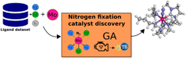 Graphical abstract: Discovery of molybdenum based nitrogen fixation catalysts with genetic algorithms