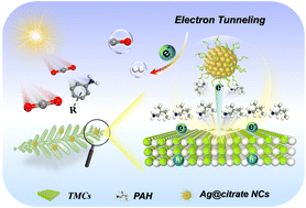 Graphical abstract: Photocarrier tunneling triggering CO2 photocatalysis